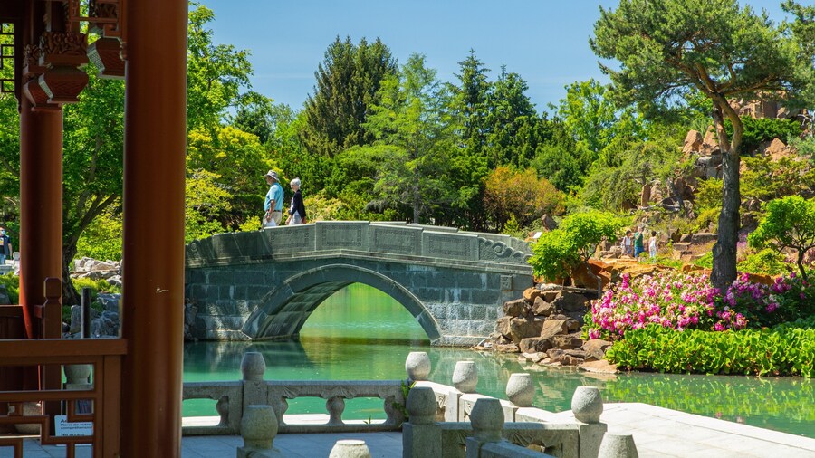 Montreal Botanical Garden showing a park, a river or creek and a bridge