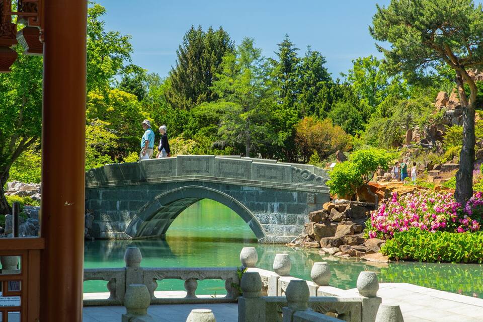 A stone bridge over a pond with lush greenery and flowering plants around.