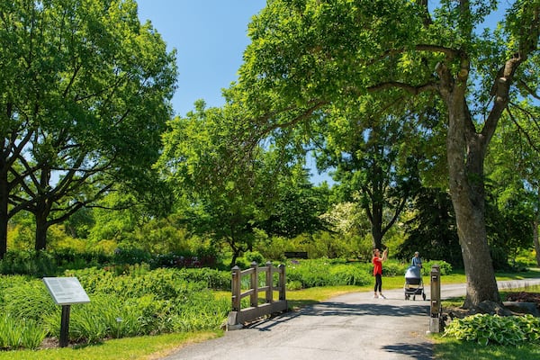 Ein Park mit einem gepflasterten Weg, üppiger Vegetation und einem hölzernen Tor.