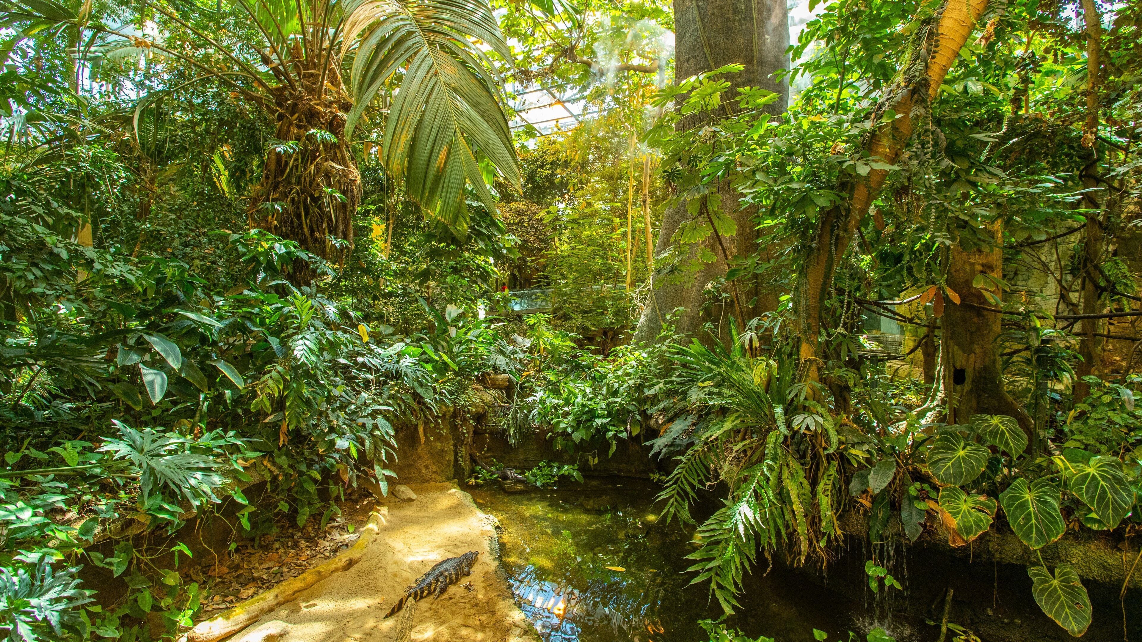 Montreal Biodome featuring a park and forests