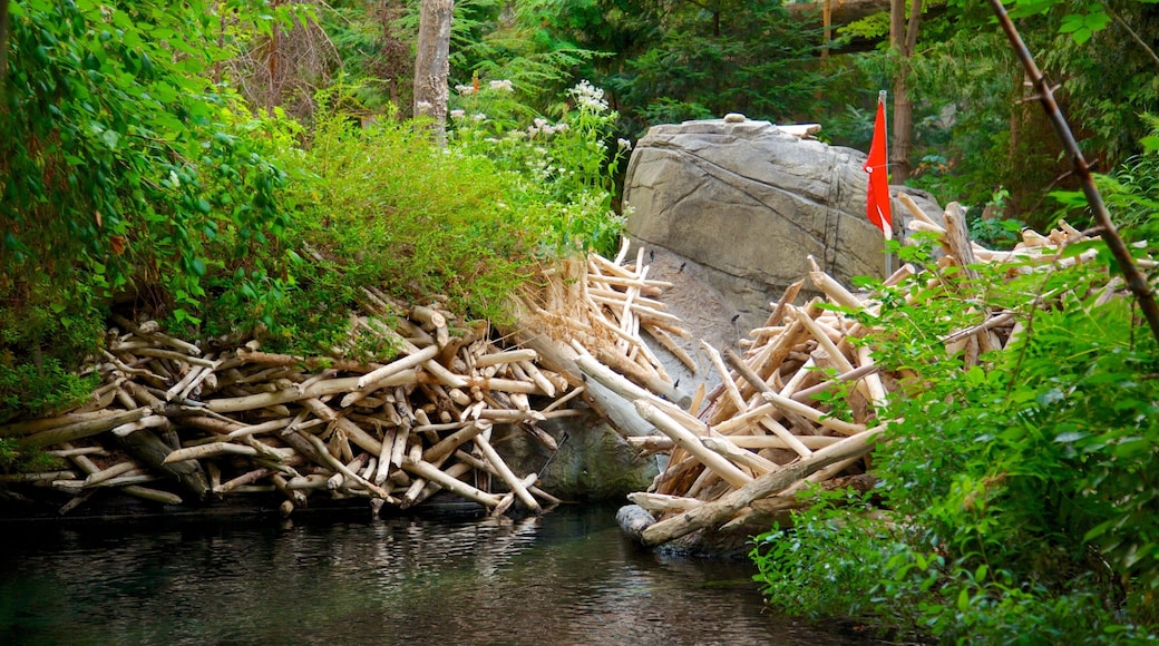 Montreal Biodome mostrando bosques y un río o arroyo