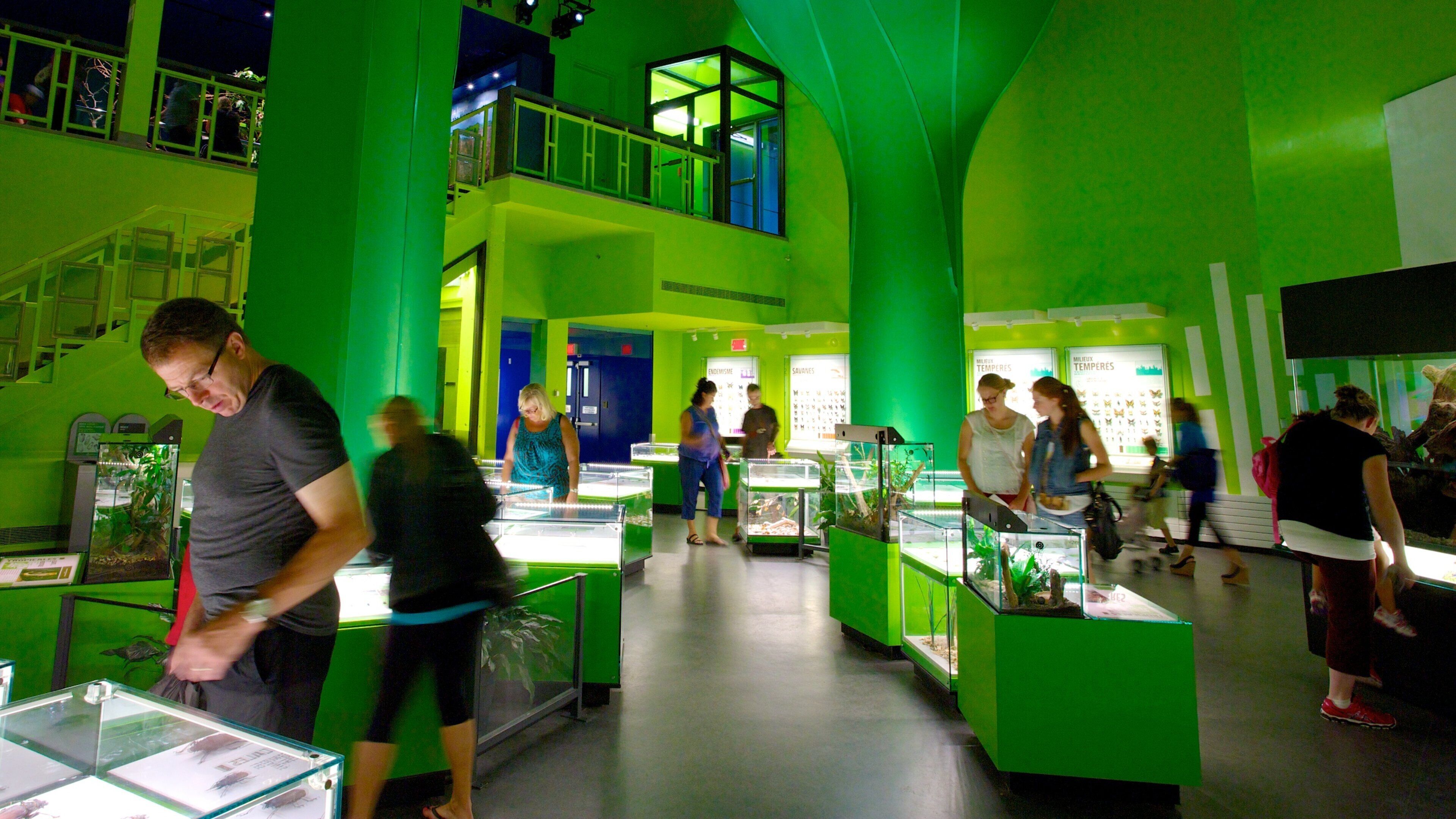 Insectarium de Montréal