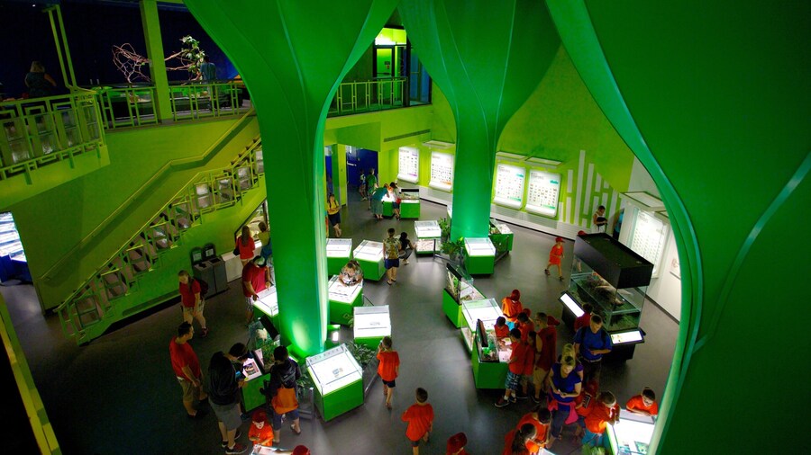 Montreal Insectarium mostrando vistas internas assim como um grande grupo de pessoas