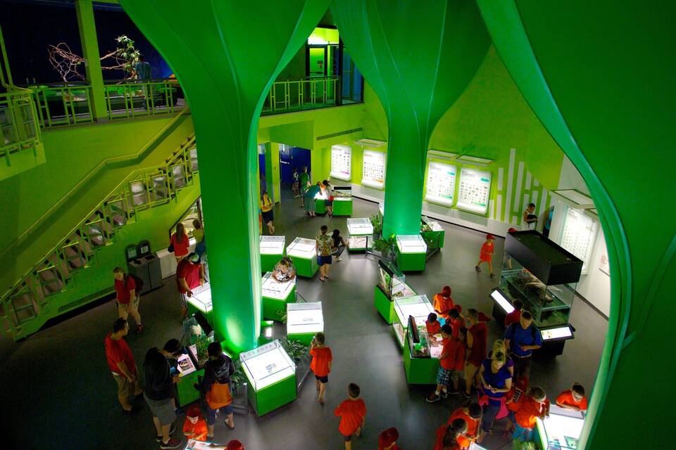 Ambiente interno luminoso con architettura verde, che include diversi tavoli espositivi e cartelli informativi.