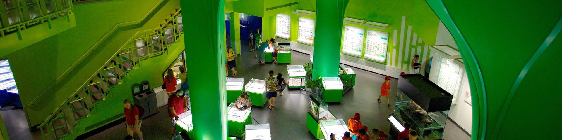 Montreal Insectarium แสดง การตกแต่งภายใน ตลอดจน คนกลุ่มใหญ่