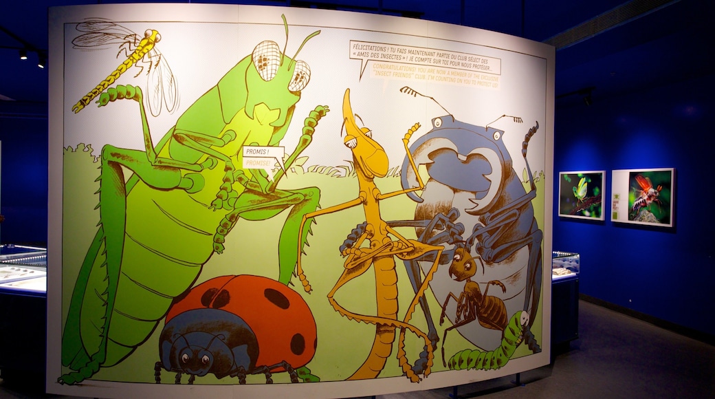 Montreal insektarium som inkluderer innendørs