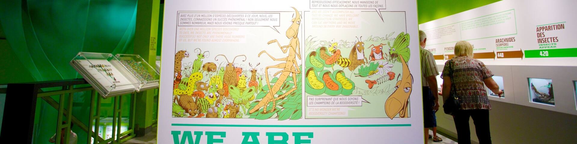 A large poster with the text "NOUS LES INSECTES WE ARE THE INSECTS" and illustrations of various insects.