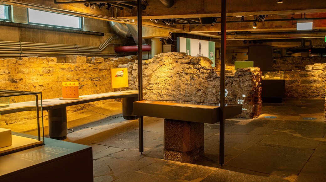 Montreal Museum of Archaeology and History which includes interior views