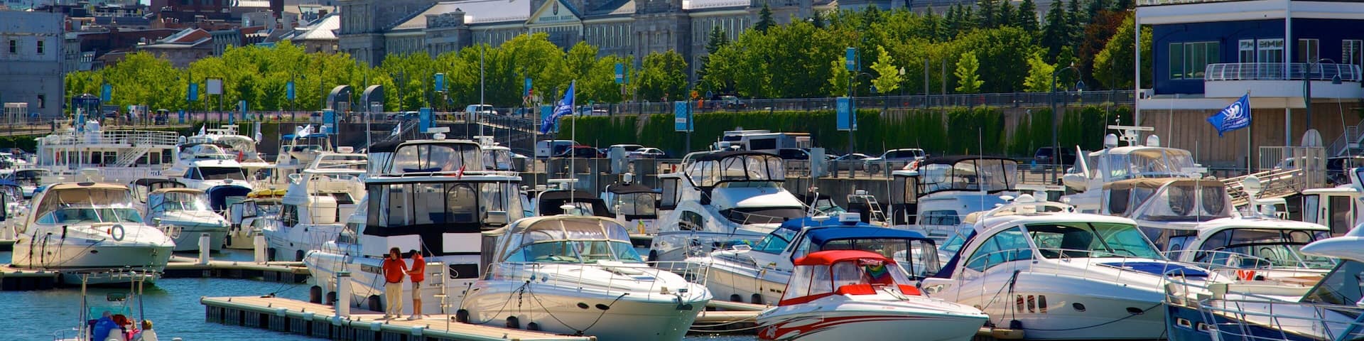 Montreal showing a high rise building, a city and a bay or harbor