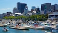 A marina with various boats docked, a city skyline with historic buildings and modern skyscrapers in the background.