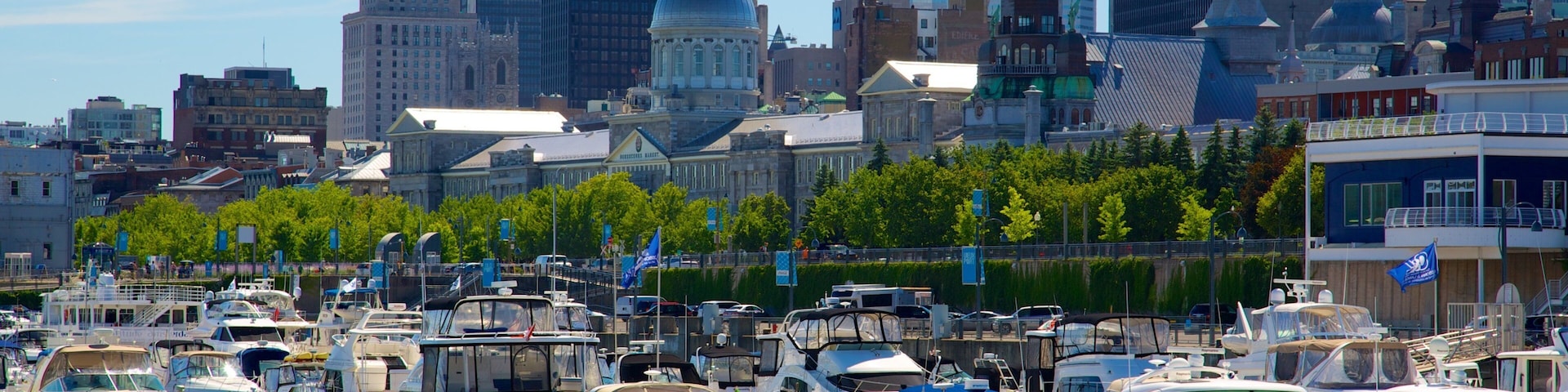 Un puerto deportivo con varios barcos amarrados, un horizonte urbano con edificios históricos y rascacielos modernos al fondo.