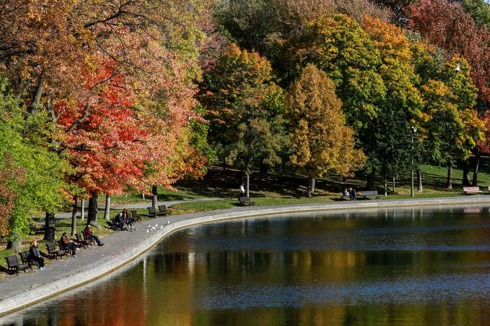 Un parc avec un sentier sinueux, des bancs et un étang dans lequel se reflètent les arbres aux couleurs automnales.