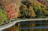 Parc La Fontaine 20151019