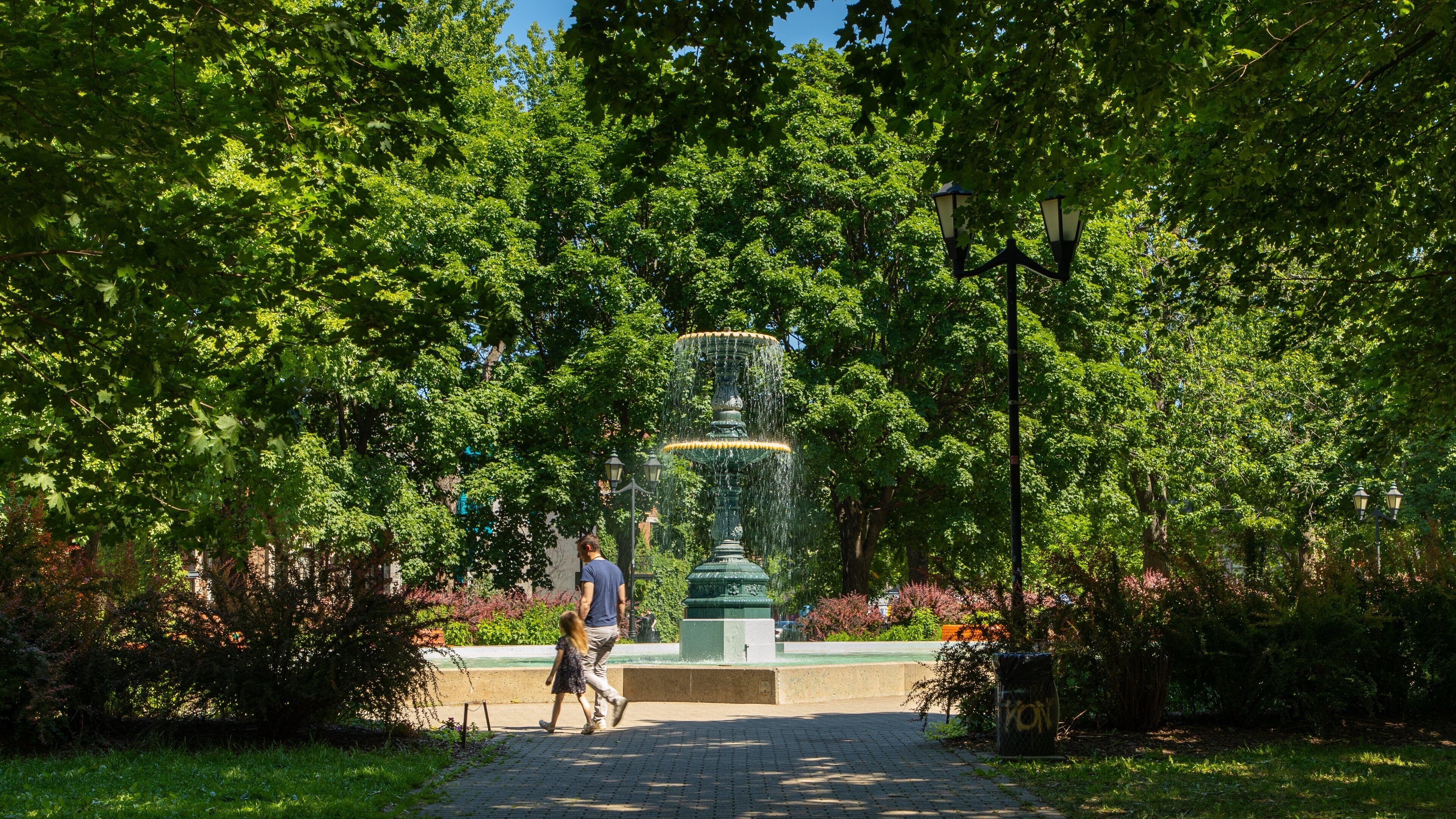 Saint Louis Square showing a fountain as well as a family