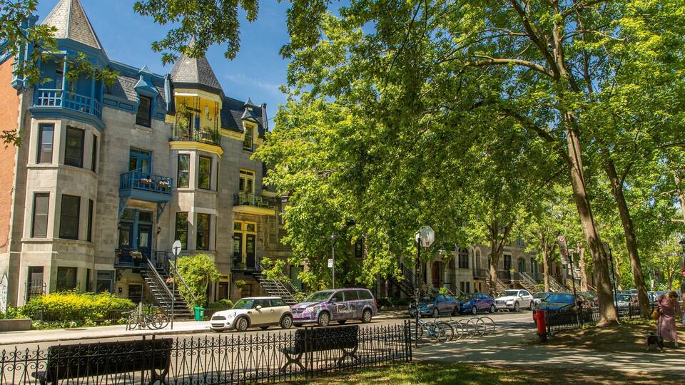 Una hilera de casas adosadas de estilo victoriano, coloridas, con una calle arbolada.