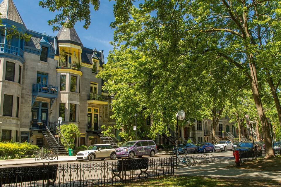 A row of colorful Victorian-style townhouses with a tree-lined street.