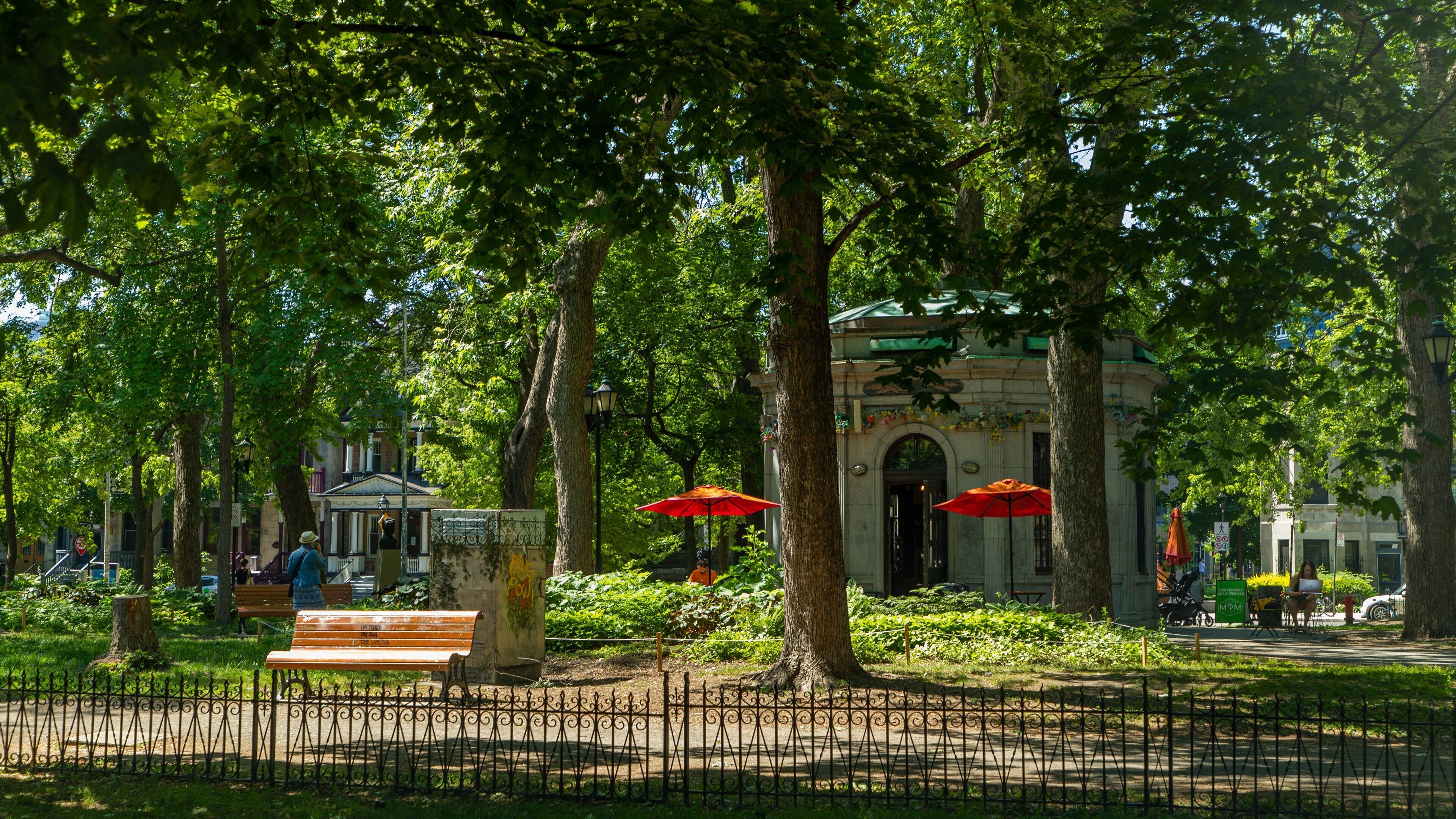 Saint Louis Square showing a park
