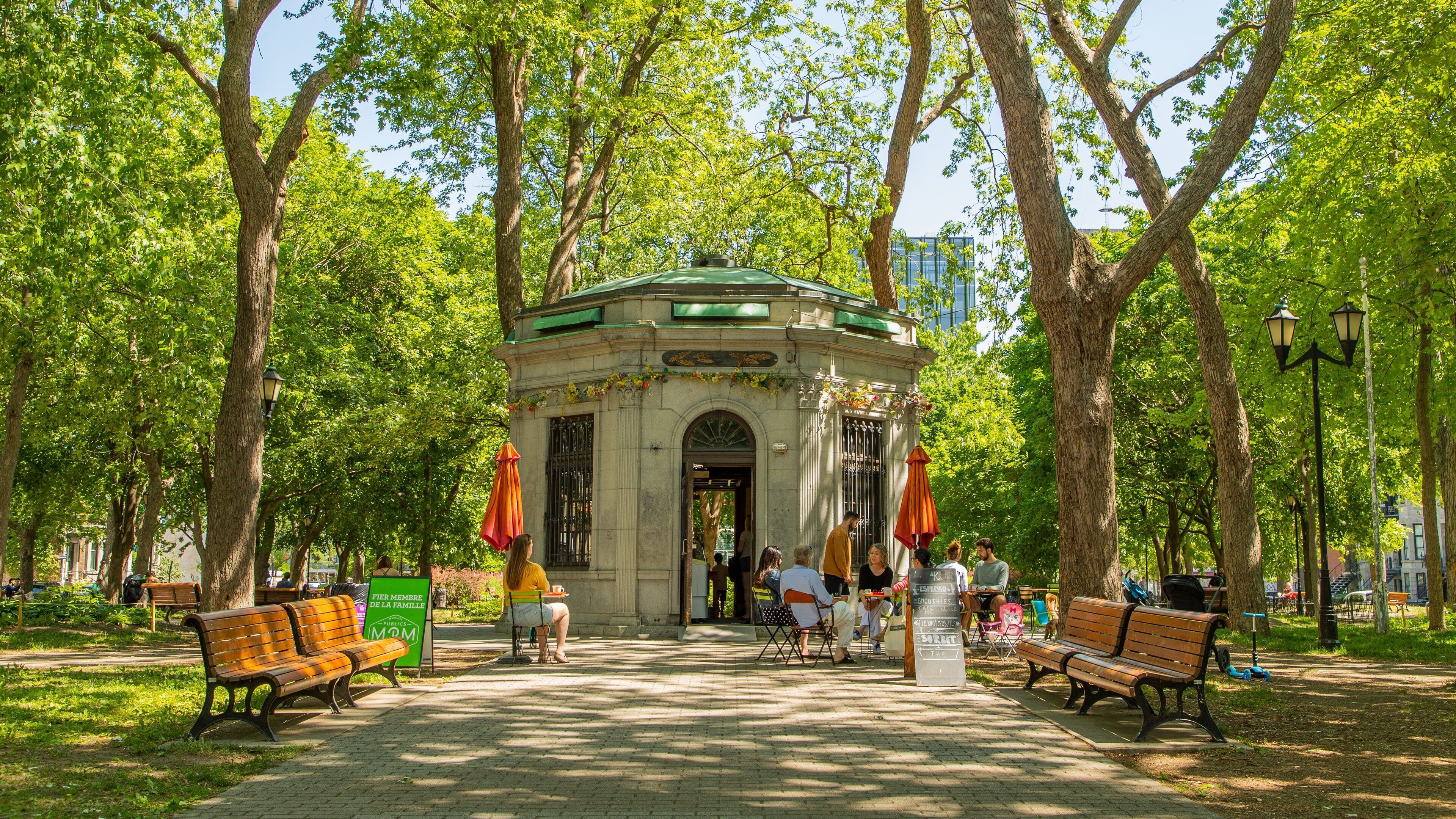 Saint Louis Square featuring a park