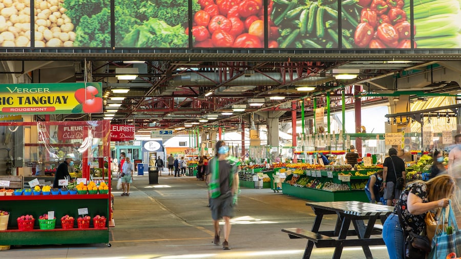 Jean-Talon Market which includes markets