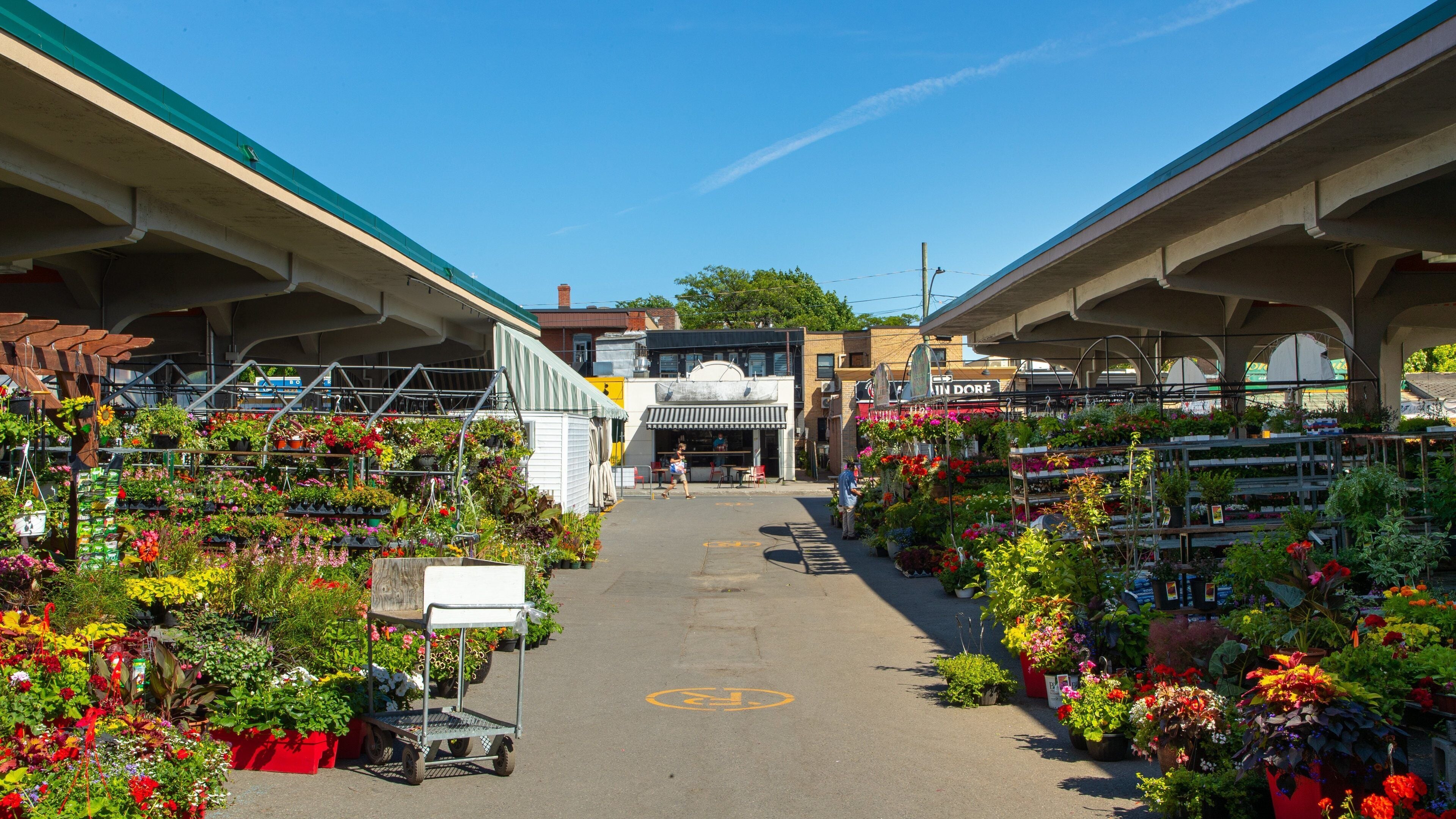 Un marché aux fleurs avec des rangées de fleurs aux couleurs vives et un bâtiment en arrière-plan.