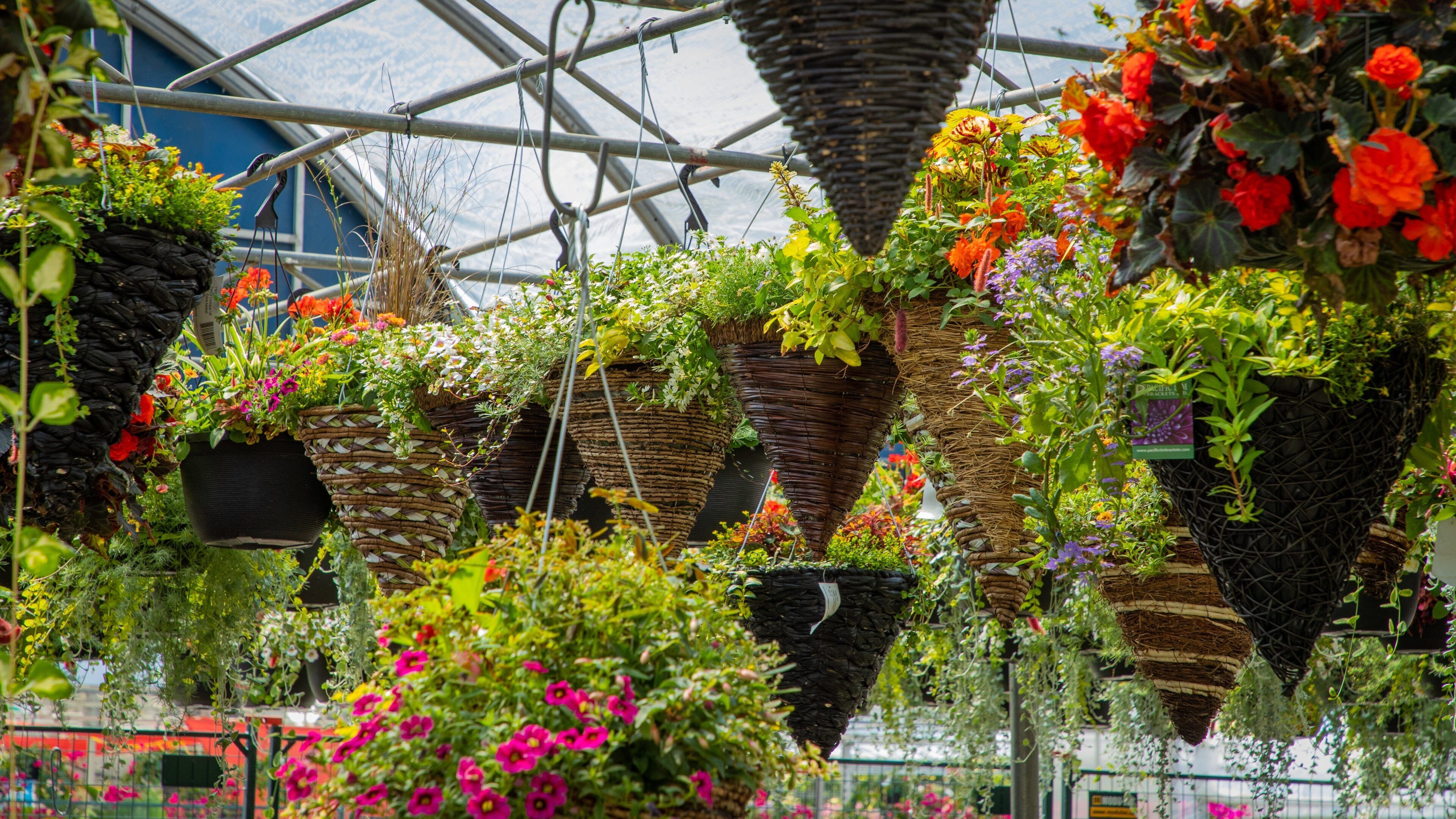 Atwater Market featuring flowers