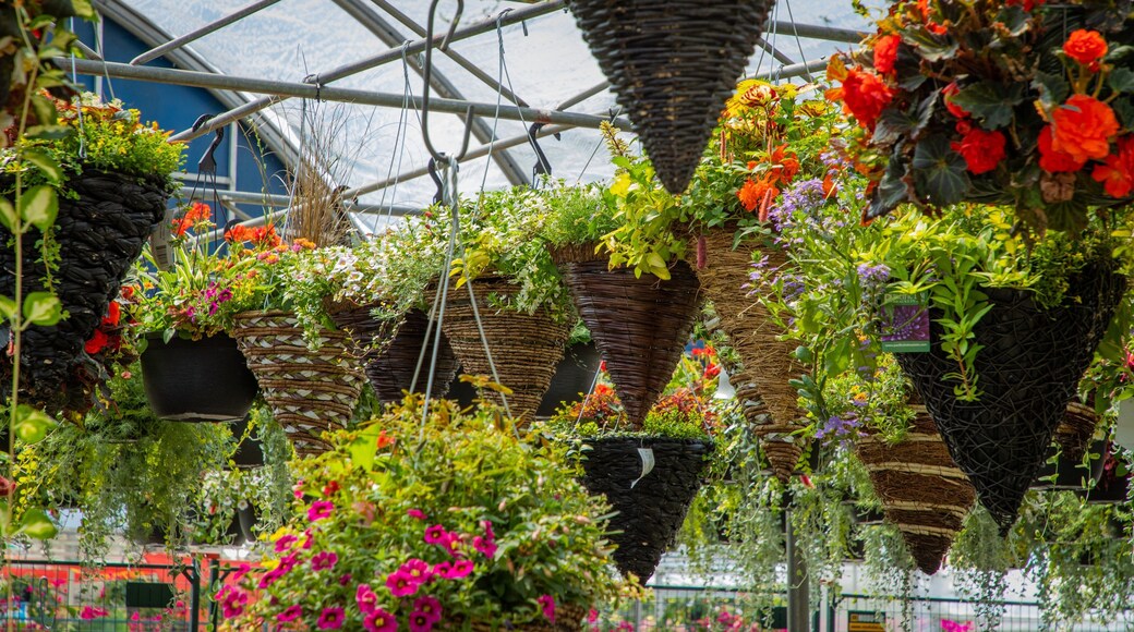 Atwater Market featuring flowers
