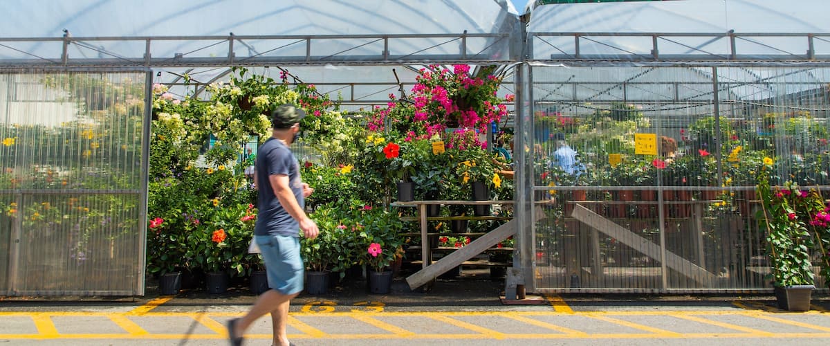 Atwater Market which includes flowers and a park as well as an individual male