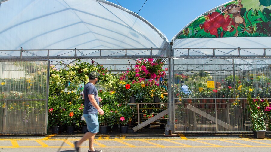 Atwater Market which includes flowers and a park as well as an individual male