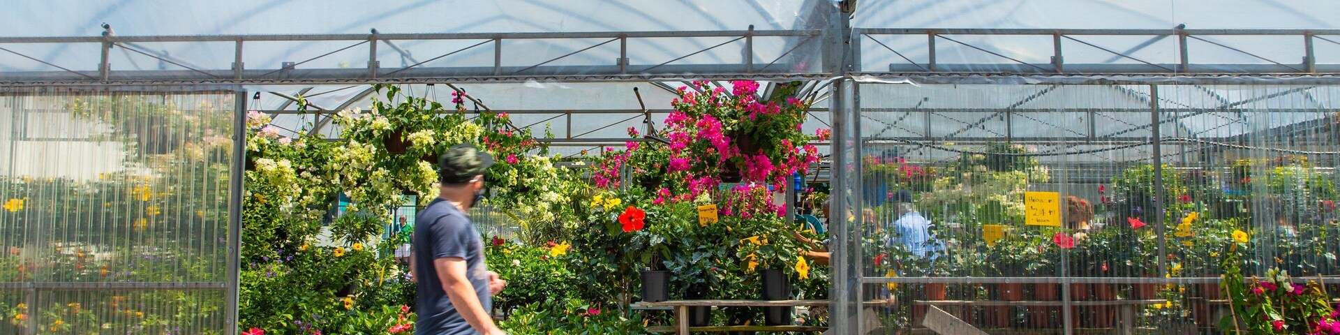 Atwater Market which includes flowers and a park as well as an individual male