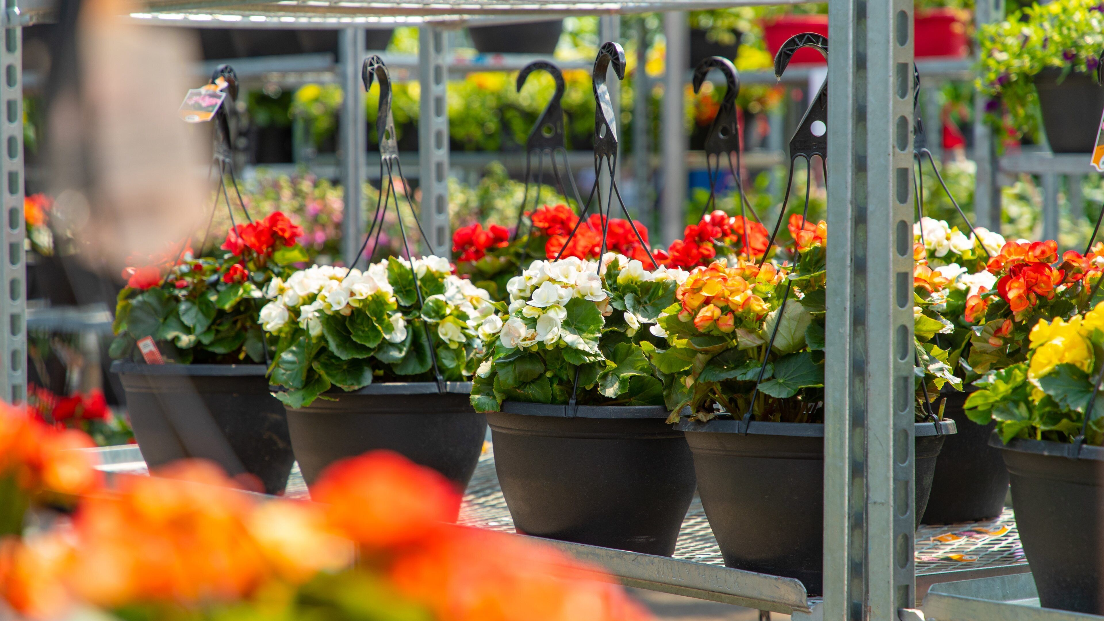 Atwater Market which includes a park and flowers