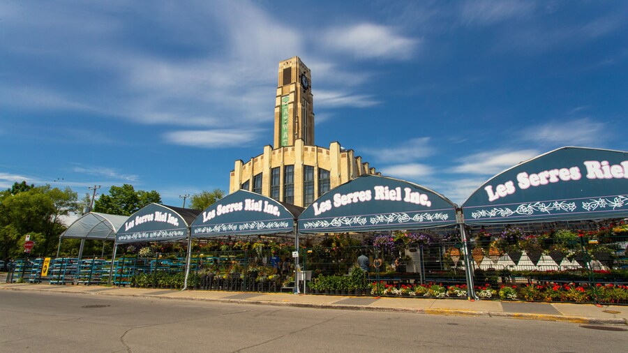 Atwater Market showing markets