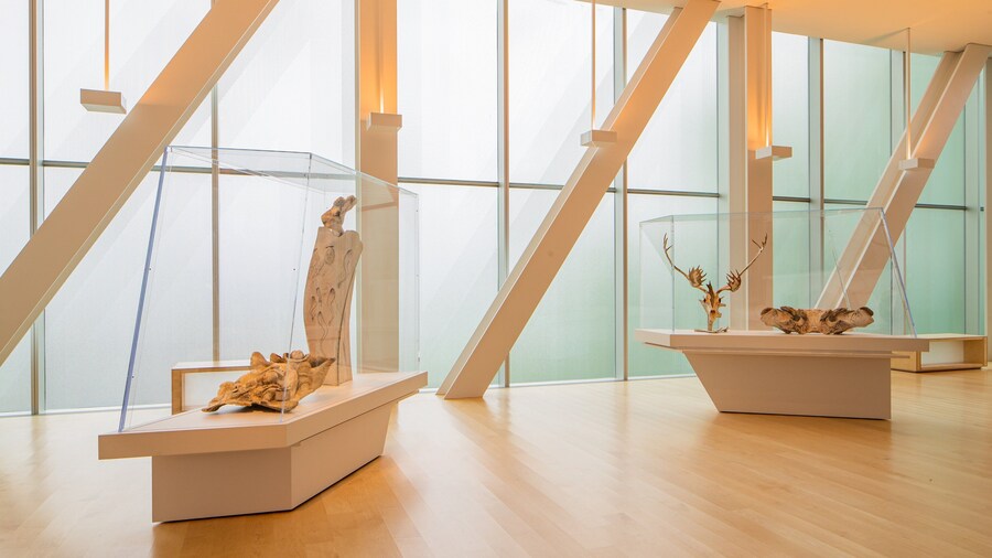 Quebec National Museum of Fine Arts showing interior views