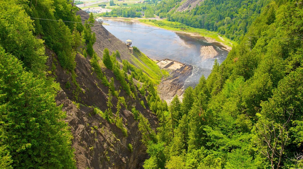 Montmorency Falls featuring a river or creek and forests