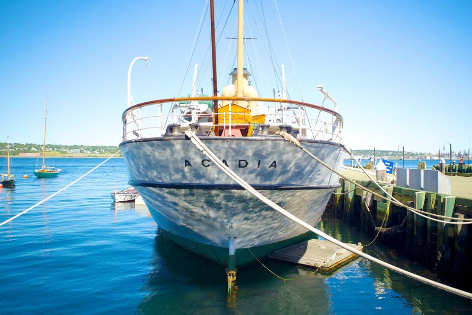 Un gran barco velero llamado 'ACADIA' atracado en un muelle, con un cielo azul despejado y aguas tranquilas.