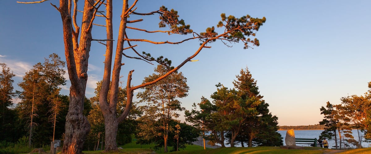 Point Pleasant Park featuring a garden and a sunset