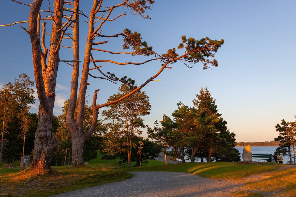 A park with a gravel path, tall trees, and a lake in the background.