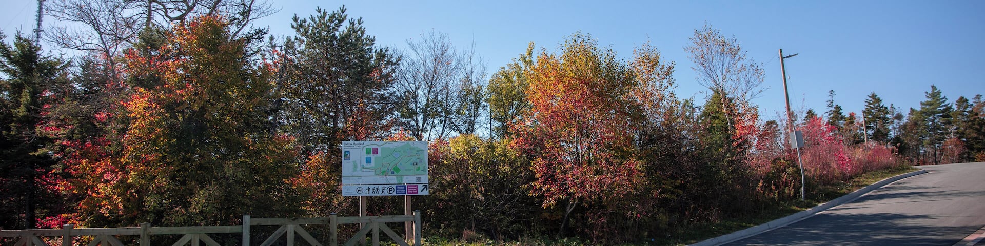 Halifax_HalifaxMainlandCommonPark_6072689_6