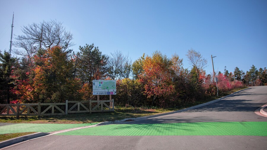 Parc Comú de la Terra Ferma de Halifax