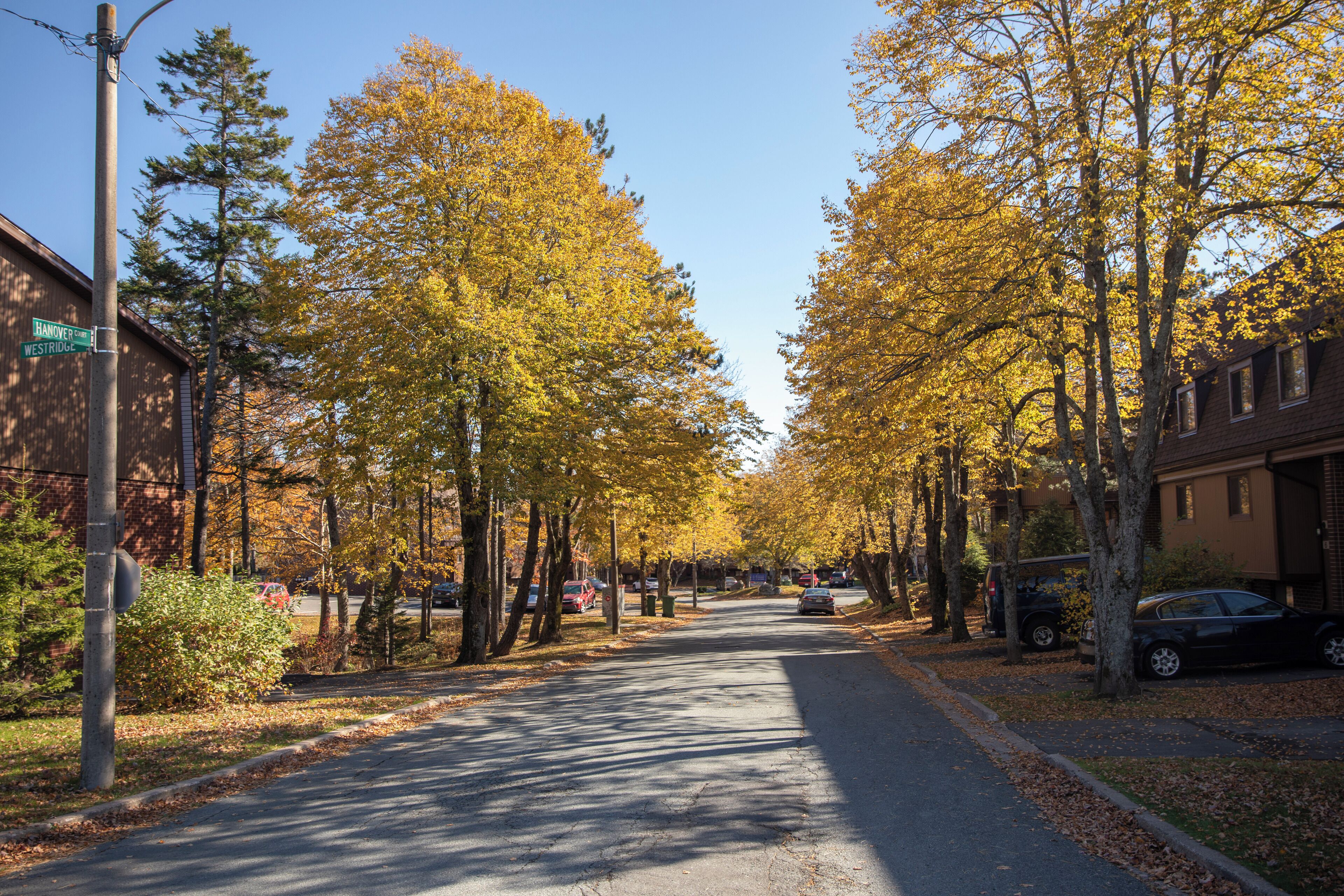 Halifax Mainland Common Park