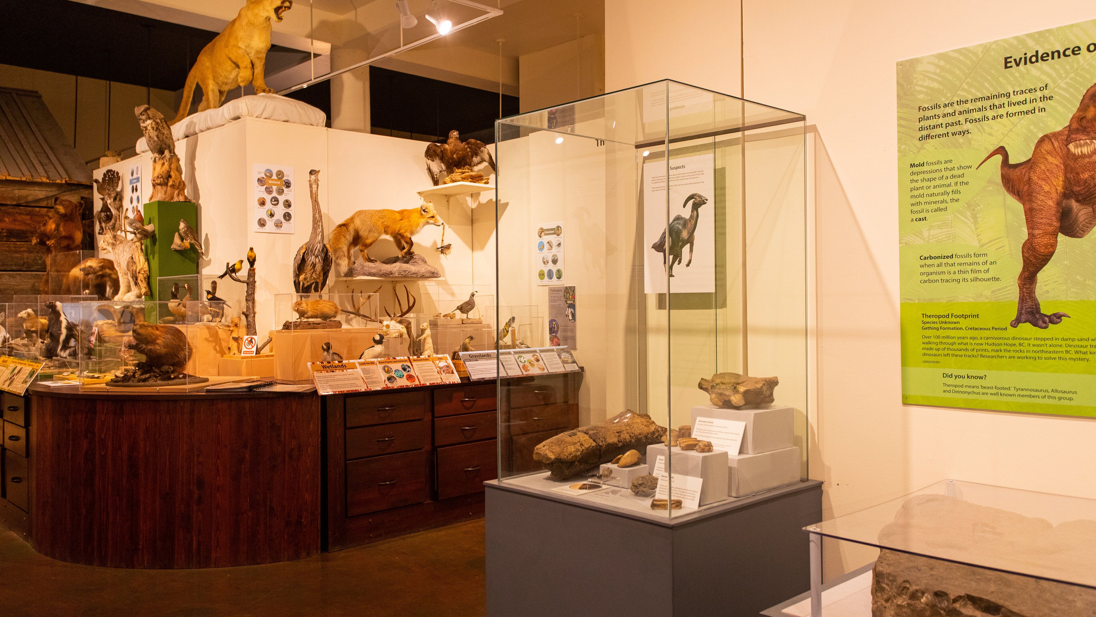 Okanagan Heritage Museum showing interior views