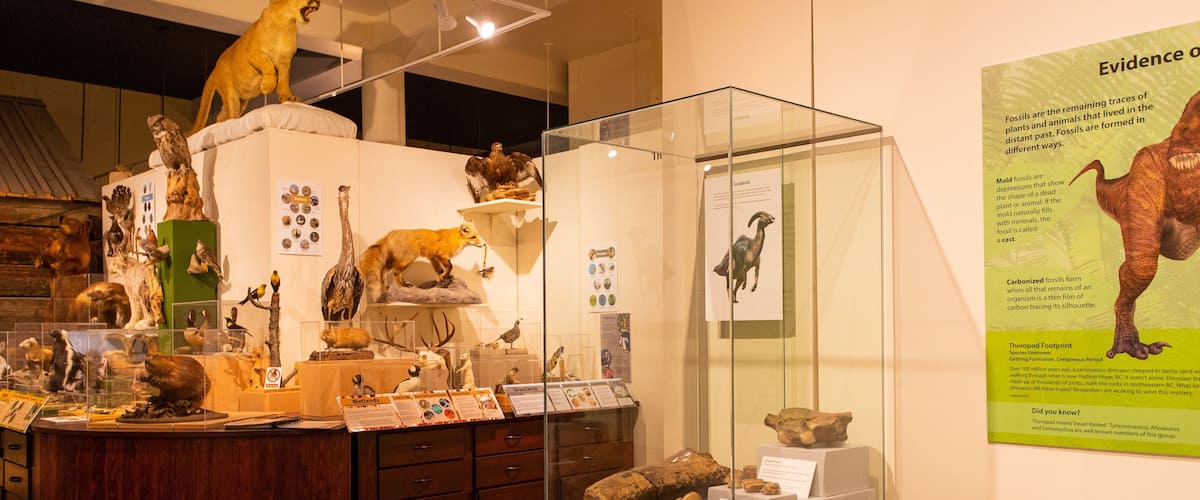 Okanagan Heritage Museum showing interior views