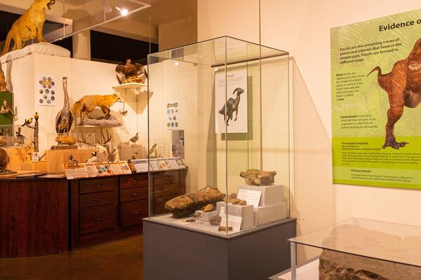 Okanagan Heritage Museum showing interior views