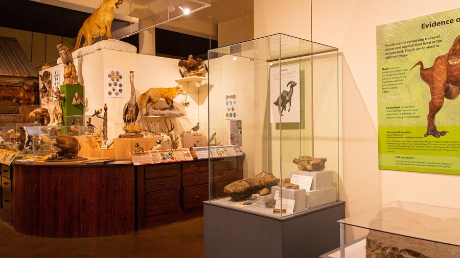 Okanagan Heritage Museum showing interior views