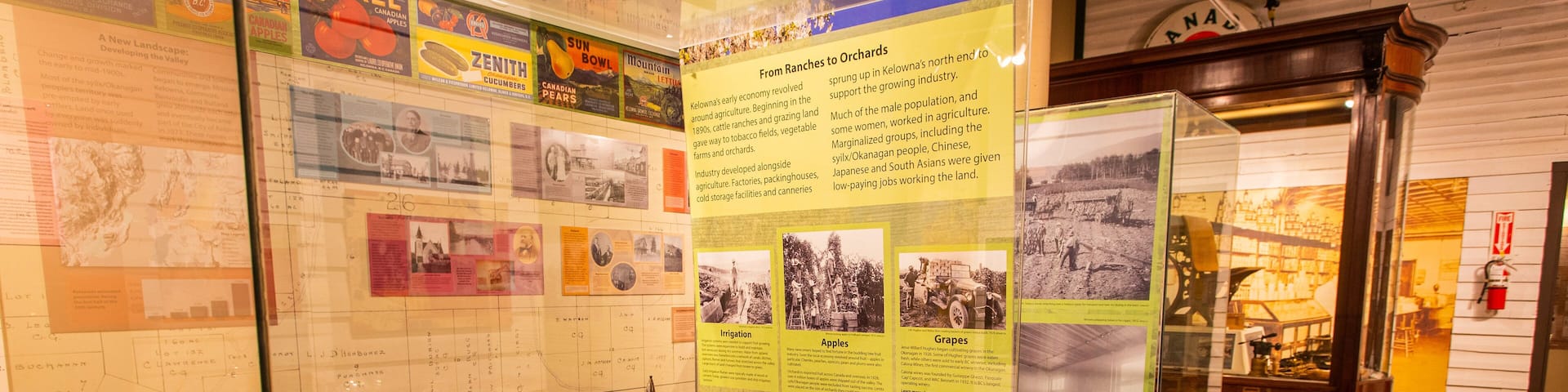 Una exhibición con documentos históricos, fotografías y productos agrícolas.