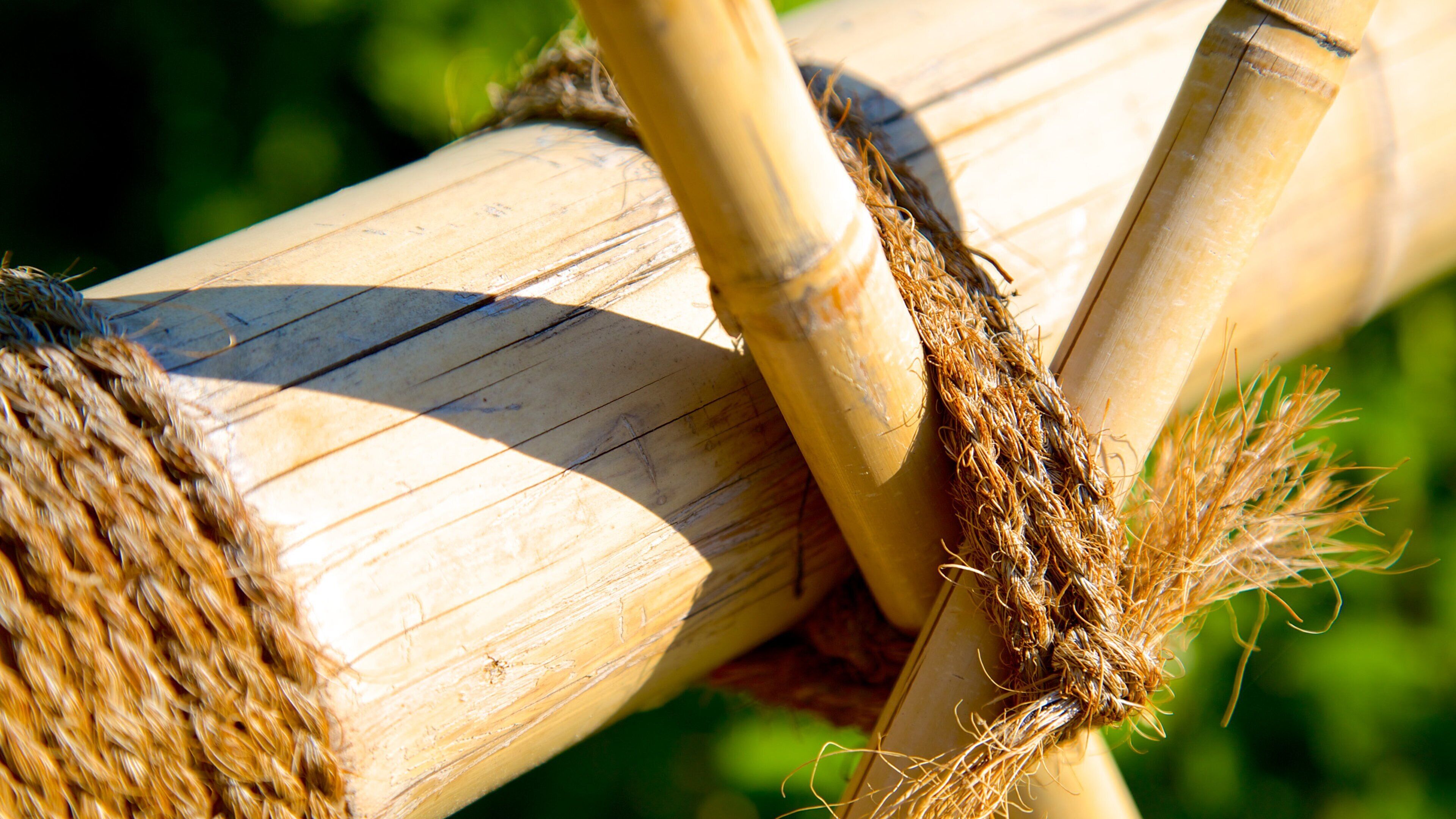 Khu vườn Kasugai cho thấy văn hóa bản địa