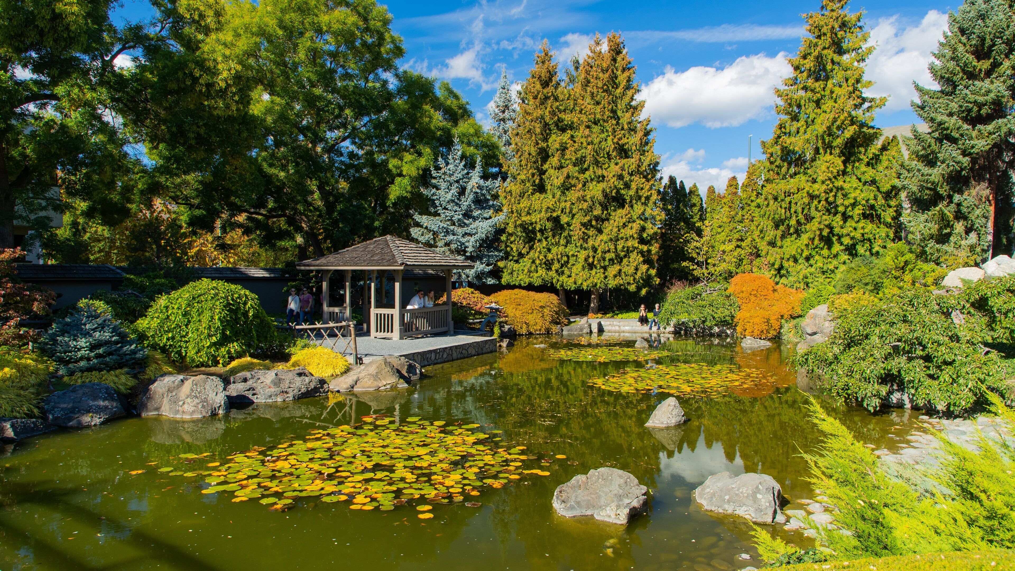 Kasugai Gardens showing a pond