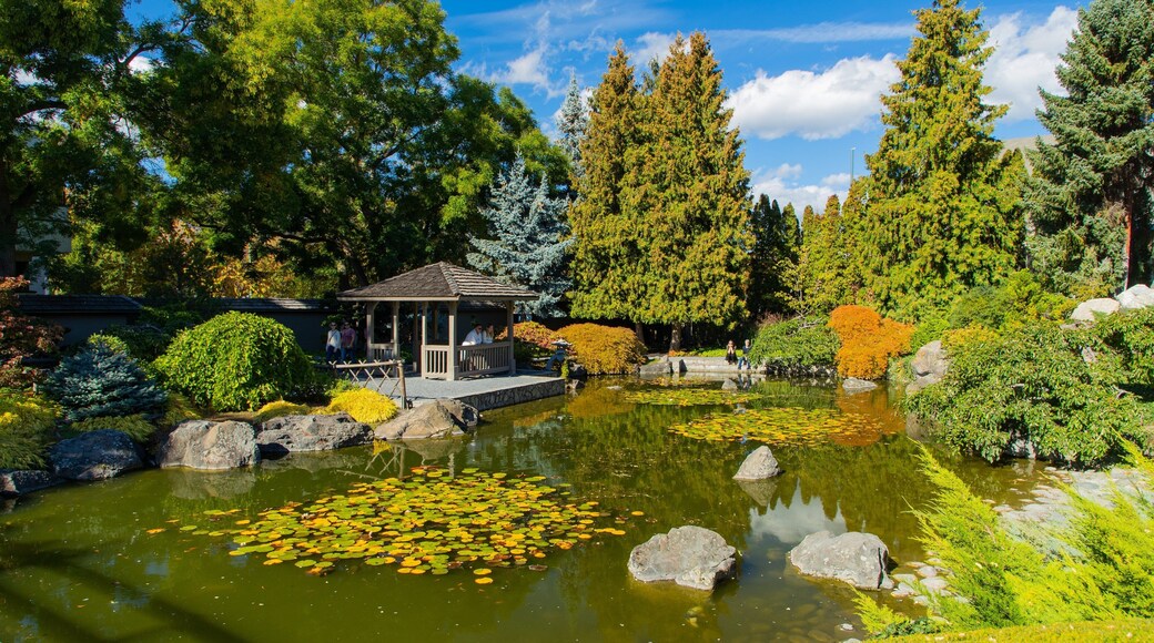 Kasugai Gardens showing a pond