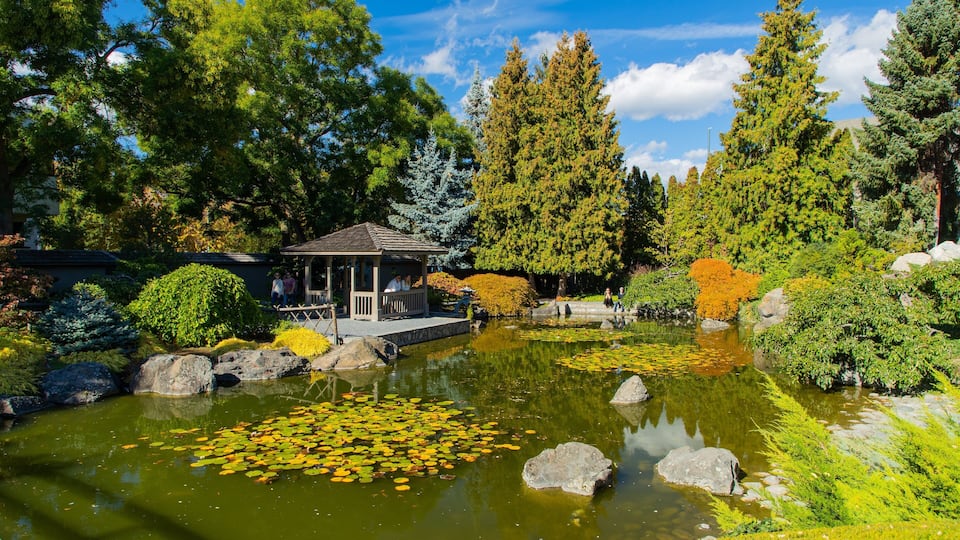 Kasugai Gardens showing a pond