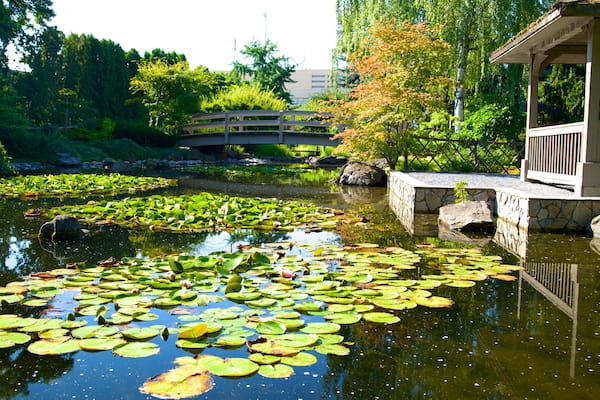 Kasugai Gardens showing a garden and a pond