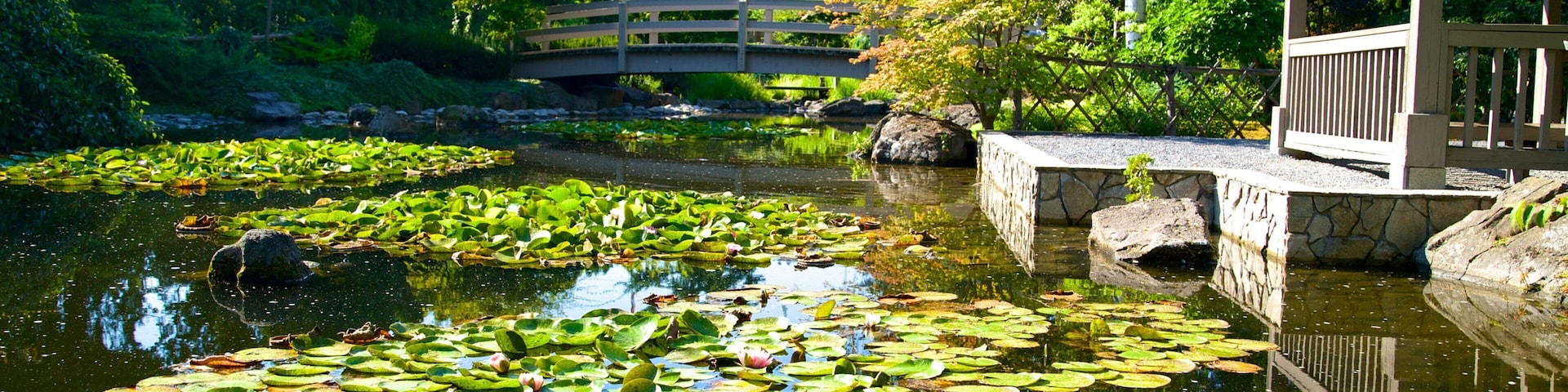 Kasugai Gardens showing a garden and a pond